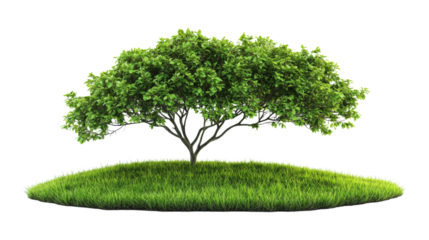 Lush green tree on grassy mound isolated on a transparent background