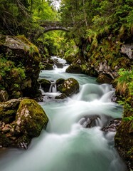 Fototapeta premium Serene River Flowing Under Stone Bridge in Lush Green Forest.