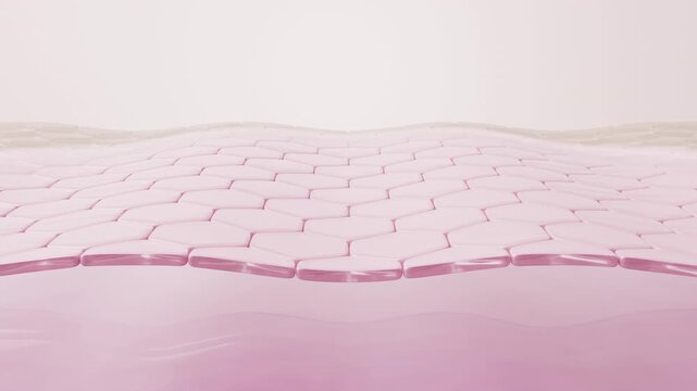Deep Skin Brightening from Inner Layer with Collagen Molecule, 3D Animation