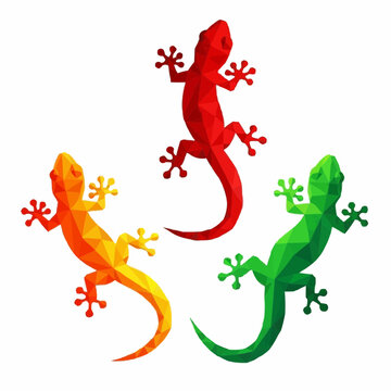 Colorful Low Poly Lizards Vibrant Trio of Geometric Reptiles for Artistic Prints, Modern Designs, and Nature-Inspired Decorations Whisk_64284d50eaef5da99cb4158d7c67b43fdr