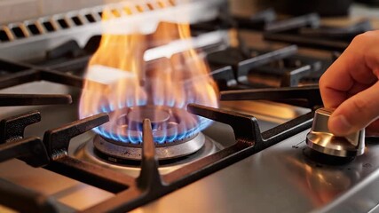 Flames respond to gas oven control adjustment, intensity changing instantly.