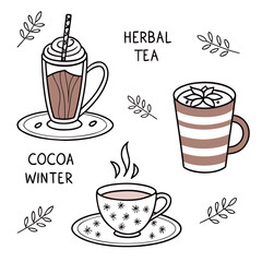 Cozy Winter Drinks and Herbs Illustration cocoa herbal tea