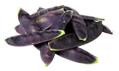 Group of fresh raw purple mangetout pods isolated on a white background
