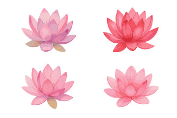 Watercolor lotus flowers in vibrant pink and deep red hues