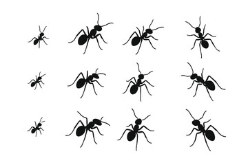 Various poses and sizes of black ant silhouettes for design elements