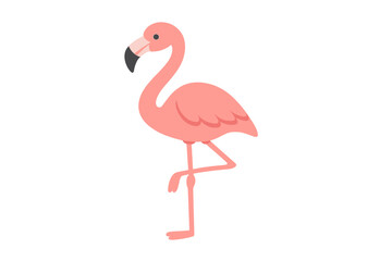Fototapeta premium Charming pink flamingo standing gracefully on one leg isolated on white