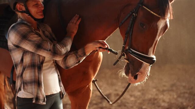 Woman wearing riding helmet carefully adjusts horse's bridle during indoor riding session, strokes beloved pet with hand. Rider grooms horse indoors, showing car, affection. Concept Equestrian Sport