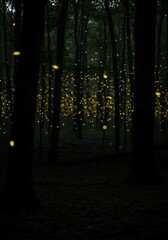 Enchanting forest scene with shimmering fireflies dancing in the darkness, a magical summer night perfect for fantasy landscapes and nature photography