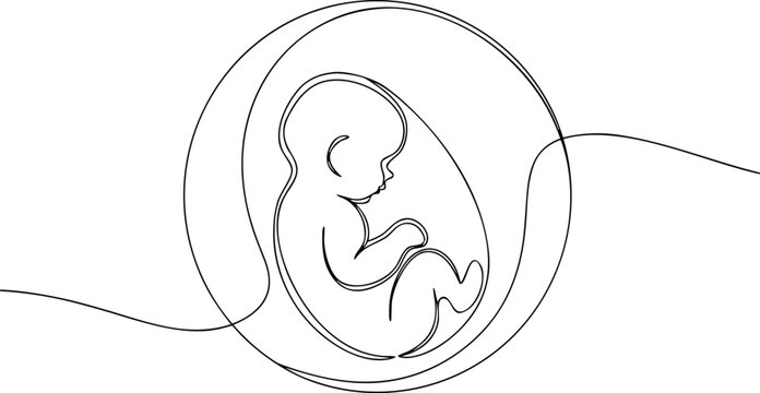 Single line drawing of a fetus in a womb pregnancy