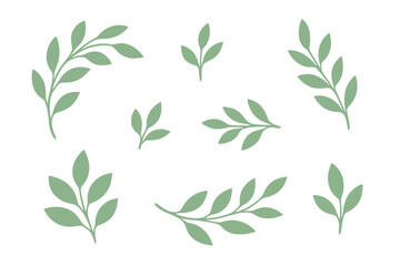 Stylized green foliage branches and leaves collection for natural design elements