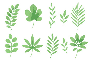 Watercolor style green foliage elements and tropical leaves isolated on white