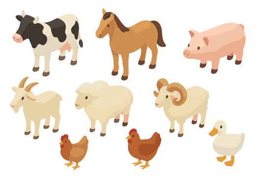 Collection of domestic farm animals and poultry set including cow horse pig sheep and chicken