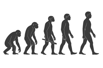 Stages of human evolution showing the progression from ape to modern Homo sapiens silhouette sequence