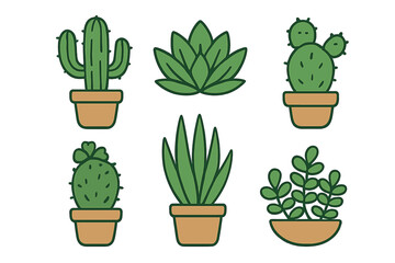 Set of six potted succulent and cactus plants for home decor or gardening