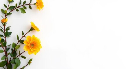 Obraz premium Minimal Yellow Rose Arrangement on White Background for Elegant Floral Design