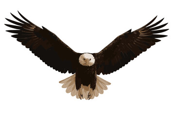 Majestic Bald Eagle in full flight with outstretched wings, isolated on white background