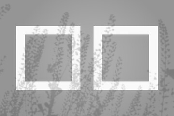 Natural light casts shadows from field grass on 2 square white frames lying on a gray background. Mockup