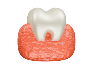 molar icon 3d illustration render