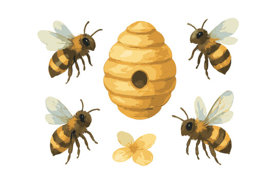 Flying honey bees surrounding a traditional woven skep beehive and a yellow flower