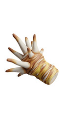 Fresh Galangal Root Isolated on White Background.