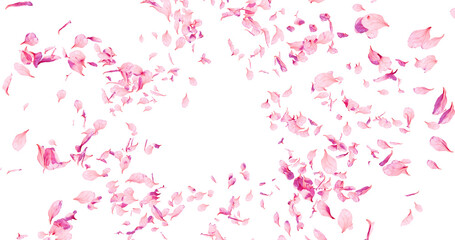 Cherry blossom petals flying here in the wind. Isolated on alpha background. 3D rendering.