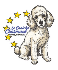 Elegant Poodle dog (Caniche) vintage engraving illustration. French logo design 