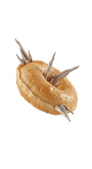 A unique bagel creation with sharp spiky protrusions.