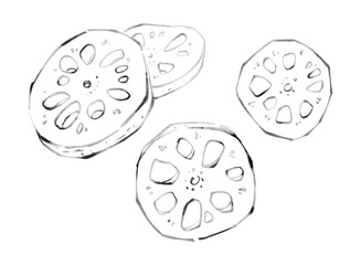 Line Art Illustration of Fresh Lotus Root Slices