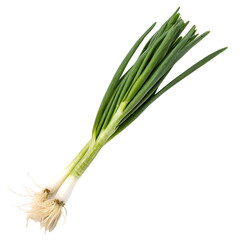 Green onion isolated on a transparent background
