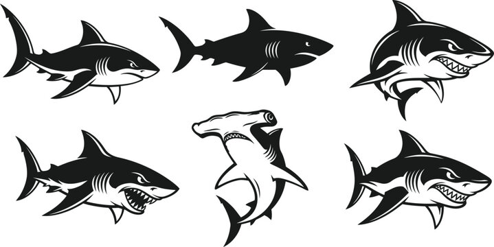Shark silhouette collection vector illustration set black and white
