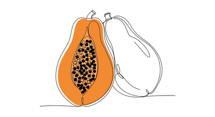 Fototapeta premium Vector illustration of papaya fruit in continuous line drawing style isolated on