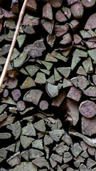 Neatly stacked firewood forming natural shapes beside a Baduy Outer household. Useful for backgrounds, textures, rural life visuals, and traditional living themes