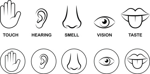 Five senses icon set collection group, black flat and line style outline symbols for touch hearing smell vision taste, sensory perception icons bundle pack, transparent background illustration