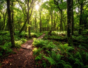 Fototapeta premium Lush, sunlit forest path weaving through vibrant green foliage