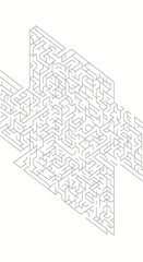 An intricate isometric maze with complex pathways and dead ends, presented in a minimalist line art style on a white background.