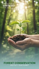 Hands gently holding a young green sapling in rich soil within a sunlit forest, symbolizing Earth Day, forest conservation, and the global commitment to protect and restore our planet’s ecosystems.