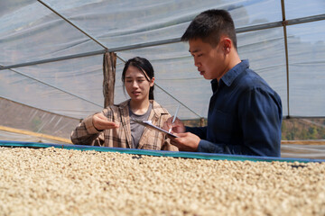 People inspect the roasting of coffee beans in large metal vats, which are a blend of Arabica and Robusta coffee beans to produce high-quality coffee with excellent taste.