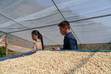 People inspect the roasting of coffee beans in large metal vats, which are a blend of Arabica and Robusta coffee beans to produce high-quality coffee with excellent taste.