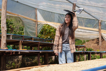 People inspect the roasting of coffee beans in large metal vats, which are a blend of Arabica and Robusta coffee beans to produce high-quality coffee with excellent taste.