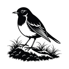 Songbird Vector Silhouette Perched on Grass Patch Wildlife Illustration Isolated