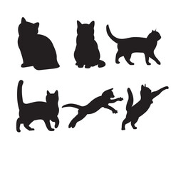 black cat illustration