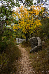  Termessos (Greek &Tau;&epsilon;&rho;&mu;&eta;&sigma;&sigma;ό&sigmaf; Termēss&oacute;s), also known as Termessos Major (&Tau;&epsilon;&rho;&mu;&eta;&sigma;&sigma;ό&sigmaf; ἡ &mu;&epsilon;ί&zeta;&omega;&nu;), was a Pisidian city built at an altitude of about 1000 metres at the south-west side of Solymos Mountain