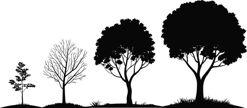 PrintStylized Black Silhouette of Four Trees Displaying Stages of Growth, from Sapling to Mature Tree, Representing Life Cycle, Maturity, Evolution, and Natural Development Vector.