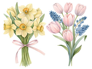 Spring flower bouquets watercolor illustration. Flowers isolated png.
