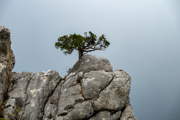 The ancient city of Syedra has located about 20 km. southeast of Alanya district of Antalya, on a...