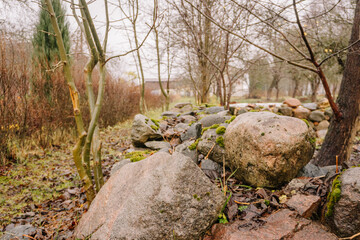 Large boulders covered in moss are nestled among smaller stones in a serene natural landscape,...