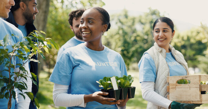 Park, volunteering or group with plants for nature restoration project, eco advocate or gardening initiative. Teamwork, sustainable environment or people with trees for climate action, outdoor or ngo