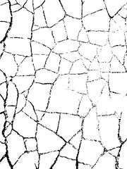 cracks in the ground