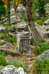 The ancient city of Syedra has located about 20 km. southeast of Alanya district of Antalya, on a...