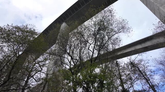 A high concrete viaduct stretches across the sky as seen through dense forest canopy. Shot at the Viaducto de La Concha de Artedo, Autov&iacute;a del Cant&aacute;brico, Asturias.